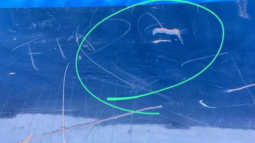 Tampa Traseira Sedan Bmw 325i 1999 A 2005 / Detalhe Preto